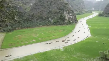 نسج لوحة واسعة النطاق بسنابل الأرز وسط جبال لا نهاية لها.